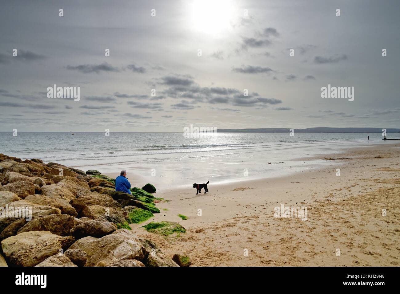 Femme et chien sur Branscombe beach Poole Dorset England UK Banque D'Images
