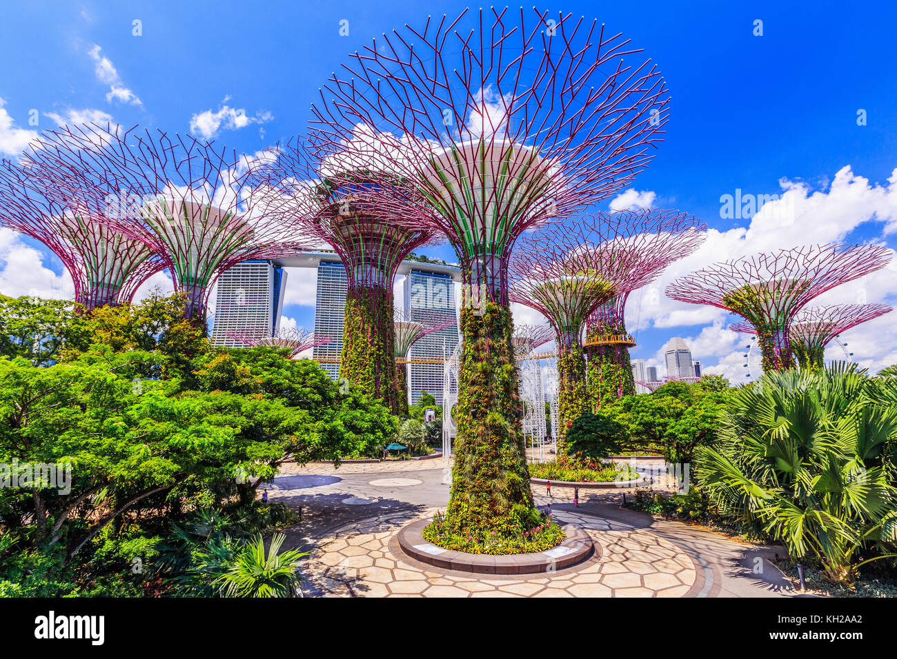 La ville de Singapour, Singapour - 8 janvier 2016 Supertree Grove à l'Gradens par la baie. Banque D'Images