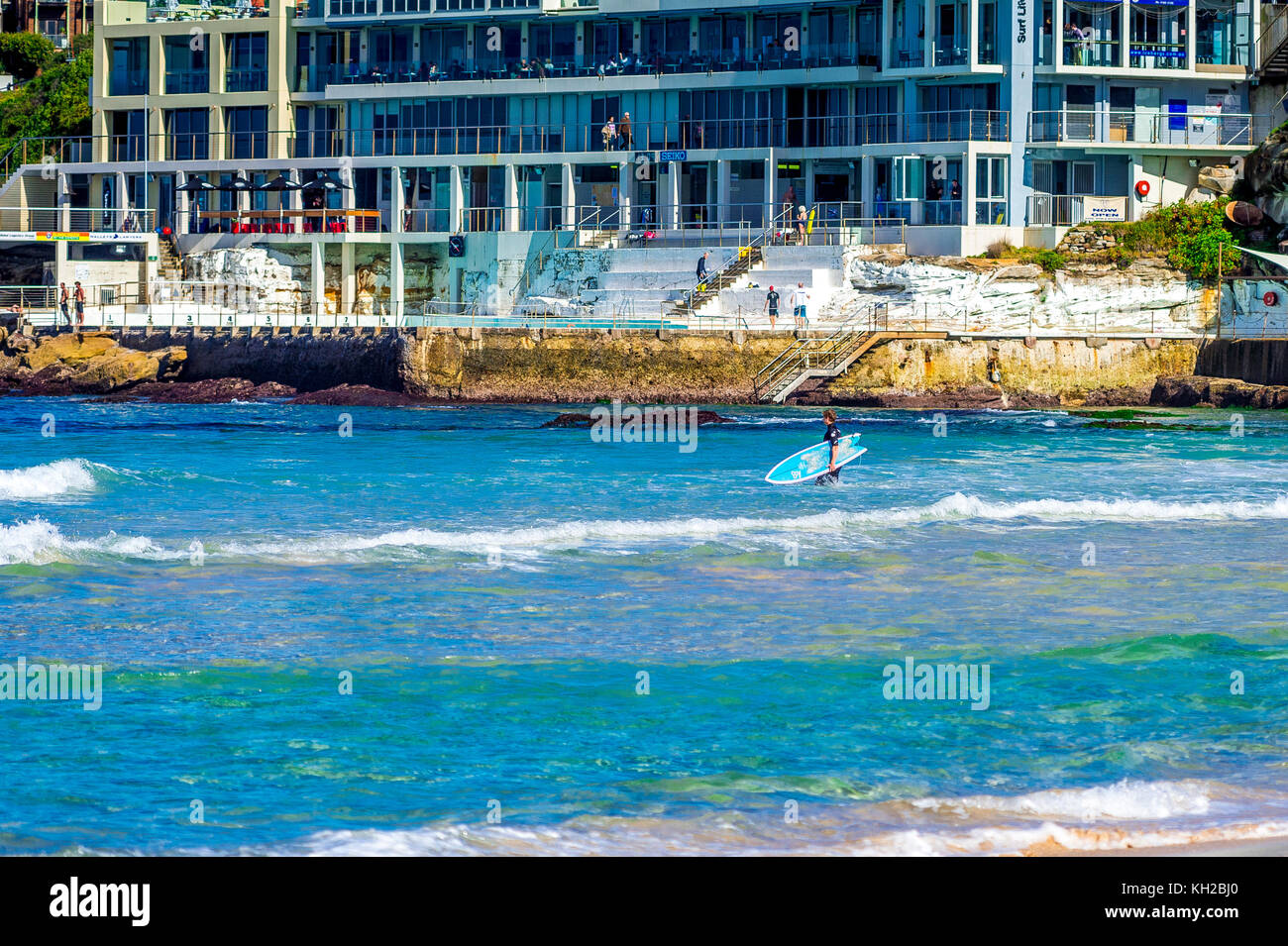 Un internaute entre dans l'eau à Bondi Beach, Sydney, NSW, Australie Banque D'Images