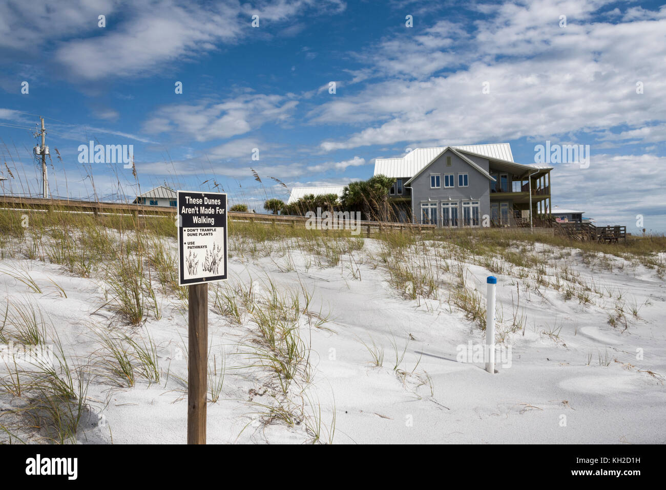 Dunes de sable protégées le long du golfe, Plages du comté de Floride USA Banque D'Images