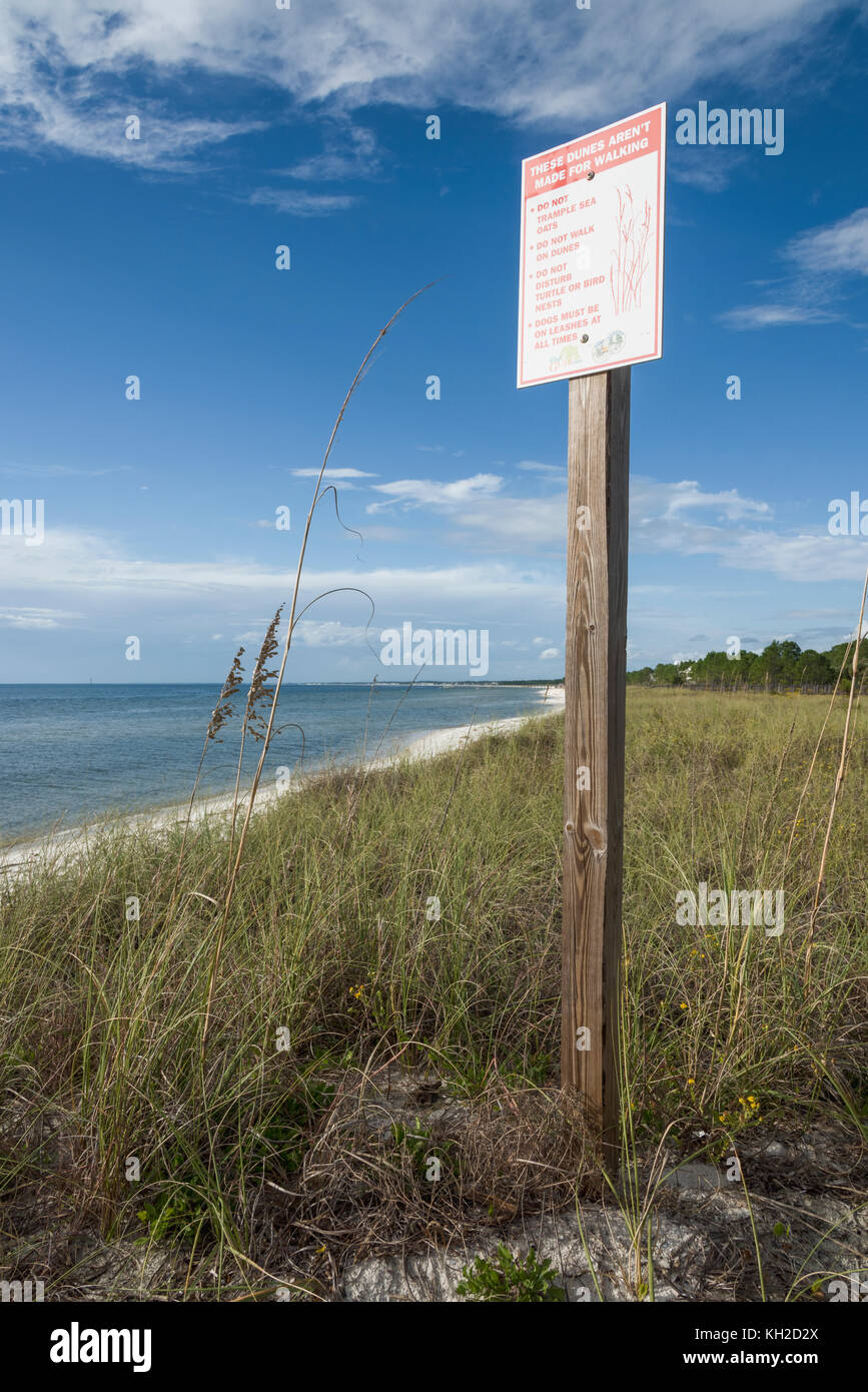 Dunes de sable protégées le long du golfe, Plages du comté de Floride USA Banque D'Images