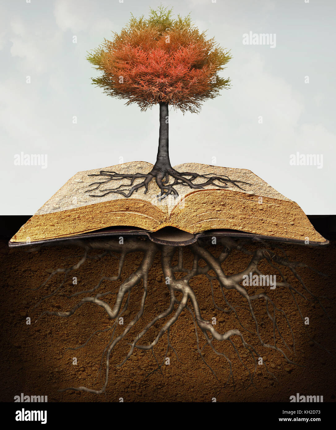 Conceptual image représentant un arbre enraciné au-dessus d'un livre ouvert avec des racines dans l'underground Banque D'Images