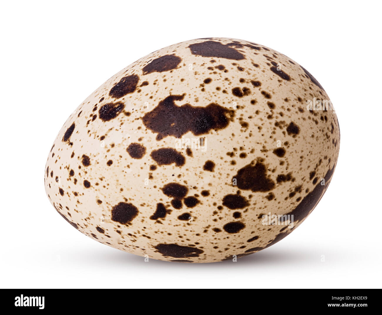 L'un oeuf de caille isolé sur fond blanc. chemin de détourage. Banque D'Images