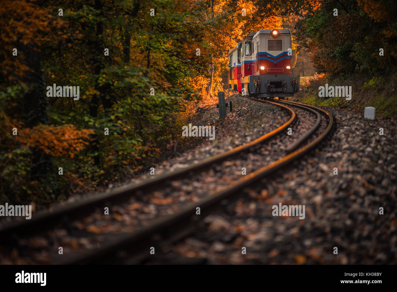 Budapest, Hongrie - Magnifique forêt d'automne avec feuillage et vieux train coloré sortant du tunnel dans les bois hongrois au coucher du soleil Banque D'Images