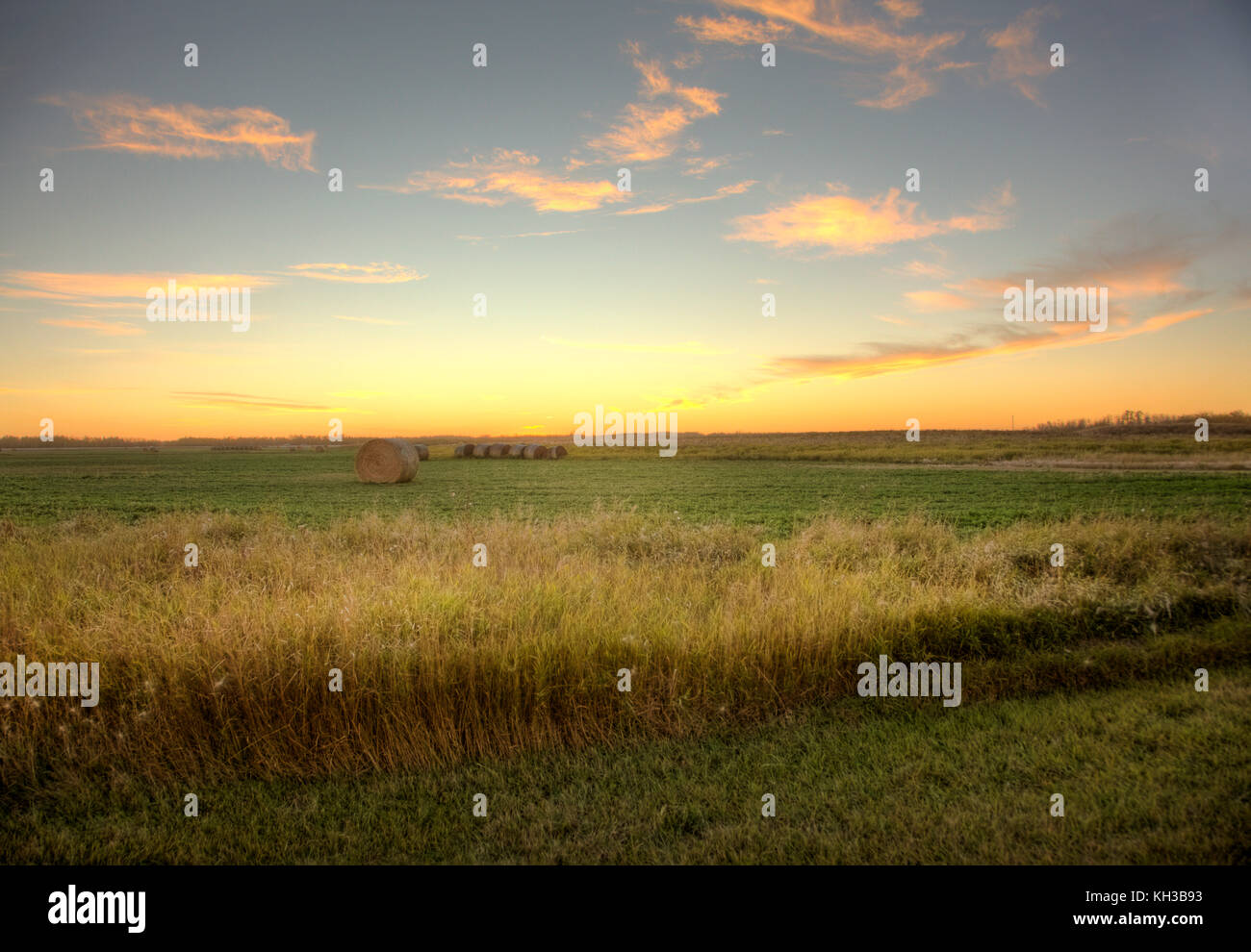 Bottes de foin éclairées par un soleil rose dans le ciel de l'Alberta rurale des prairies des Plaines Banque D'Images