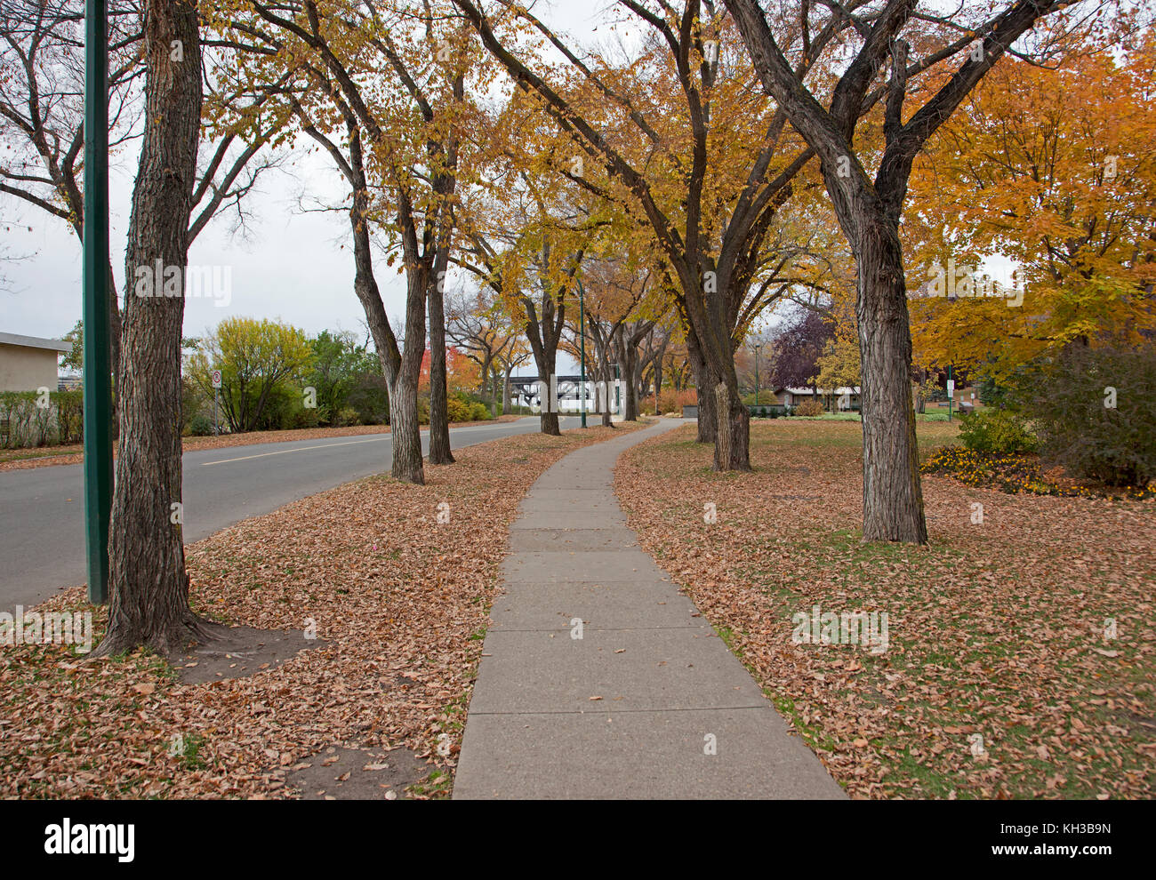 Un trottoir entouré par les arbres d'automne et de feuilles mortes Banque D'Images