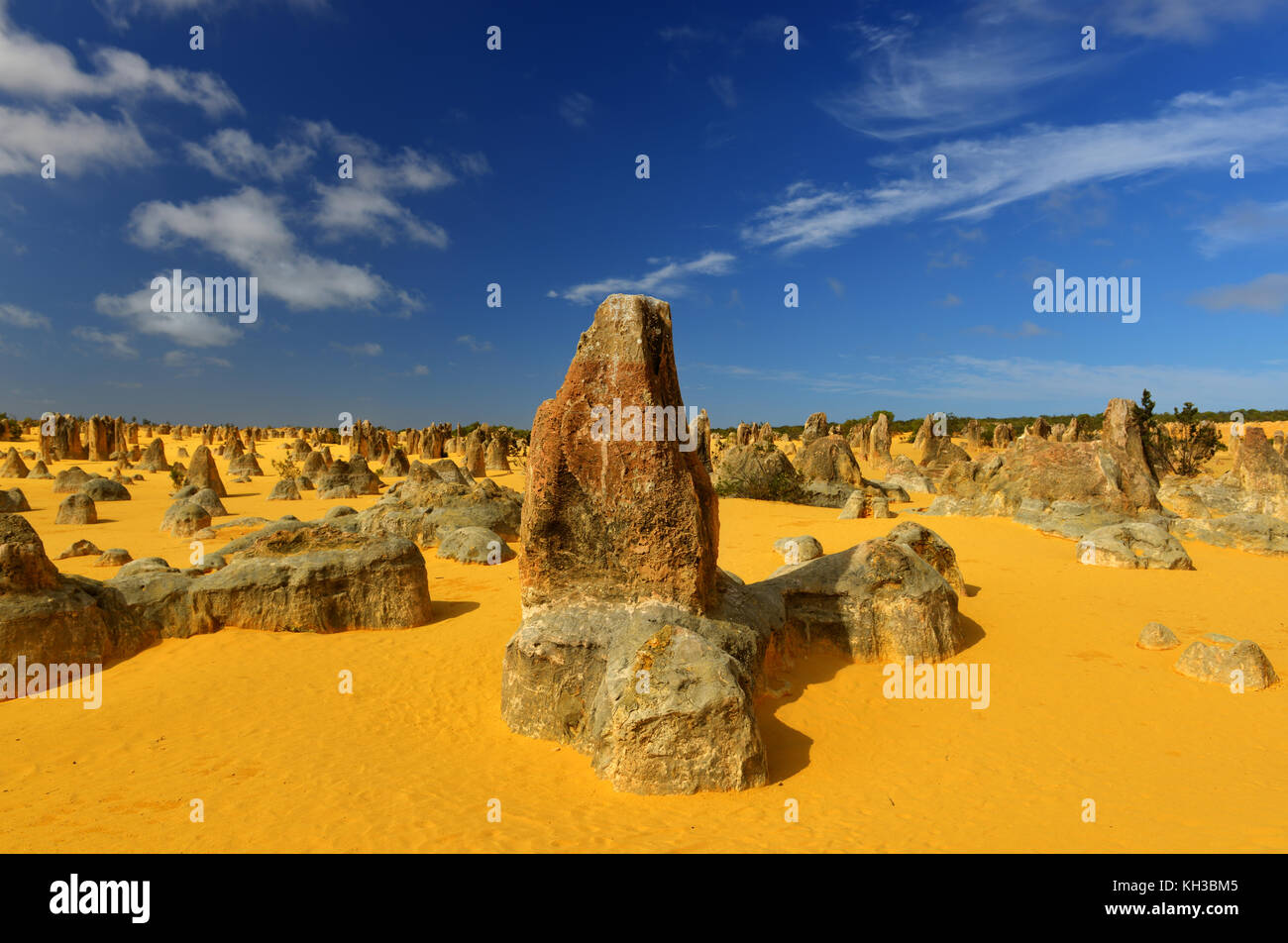 Les pinnacles dans le parc national de Nambung, dans l'ouest de l'Australie. les pinacles sont des formations calcaires contenues dans le parc national de Nambung, près de la Banque D'Images
