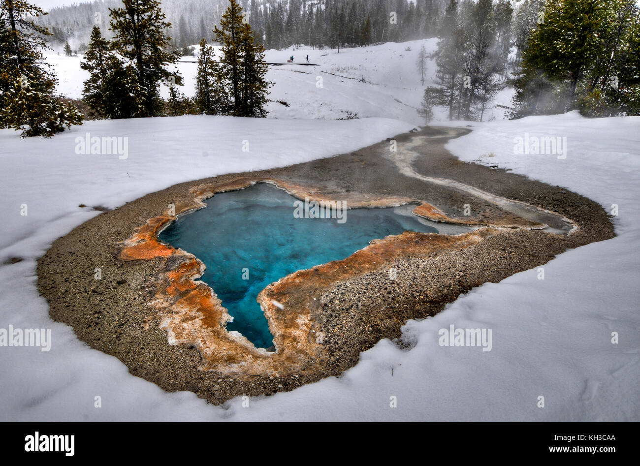 Sources d'eau chaude colorée dans le parc national de Yellowstone en hiver. Banque D'Images