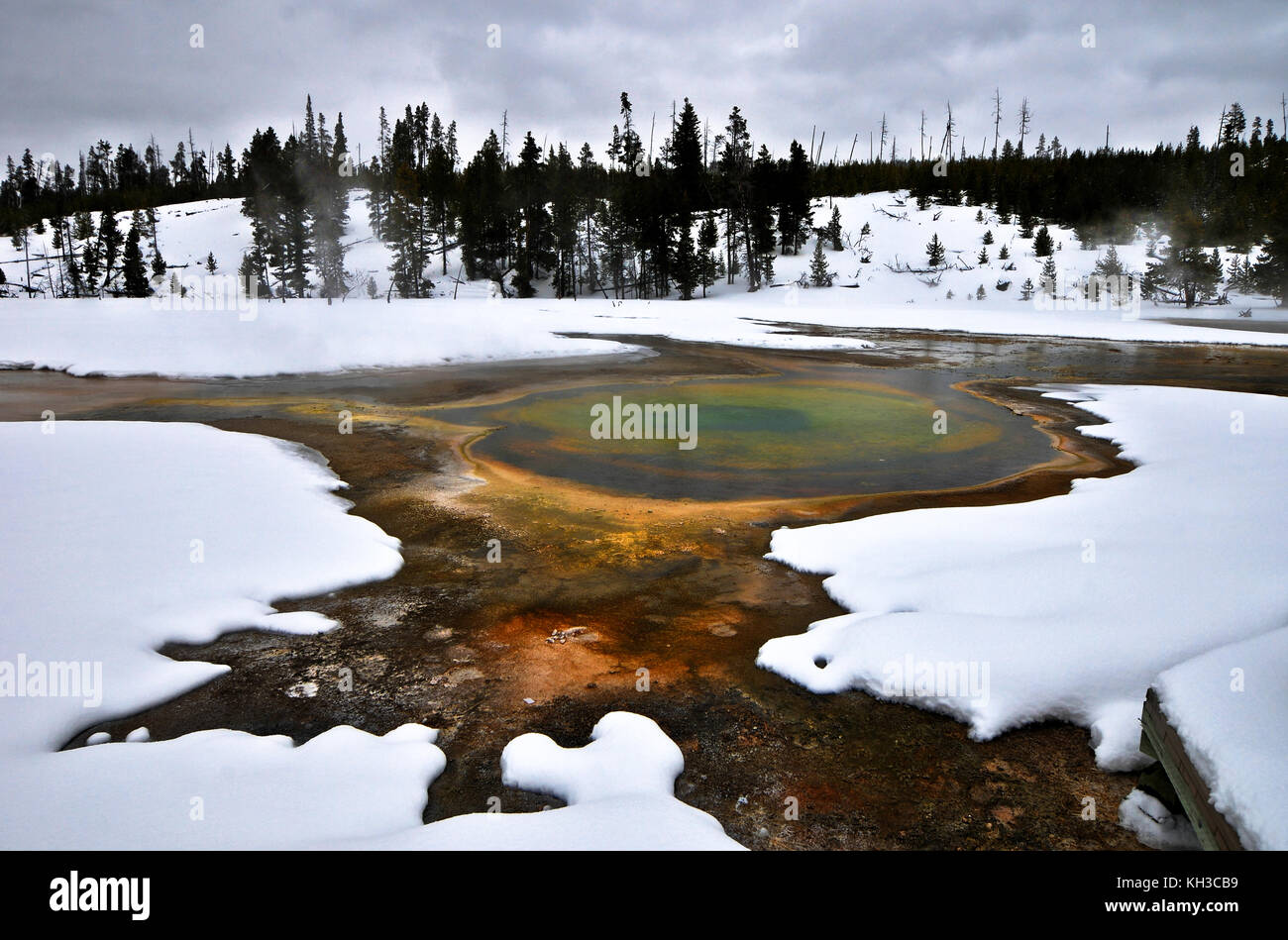 Sources d'eau chaude colorée dans le parc national de Yellowstone en hiver. Banque D'Images