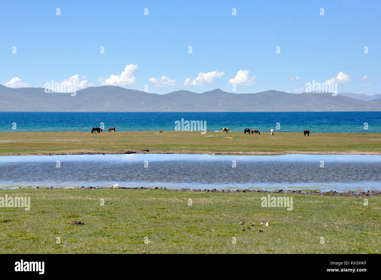 Le Kirghizistan, le lac song kul Banque D'Images Le Kirghizistan, le lac song kul Banque D'Images