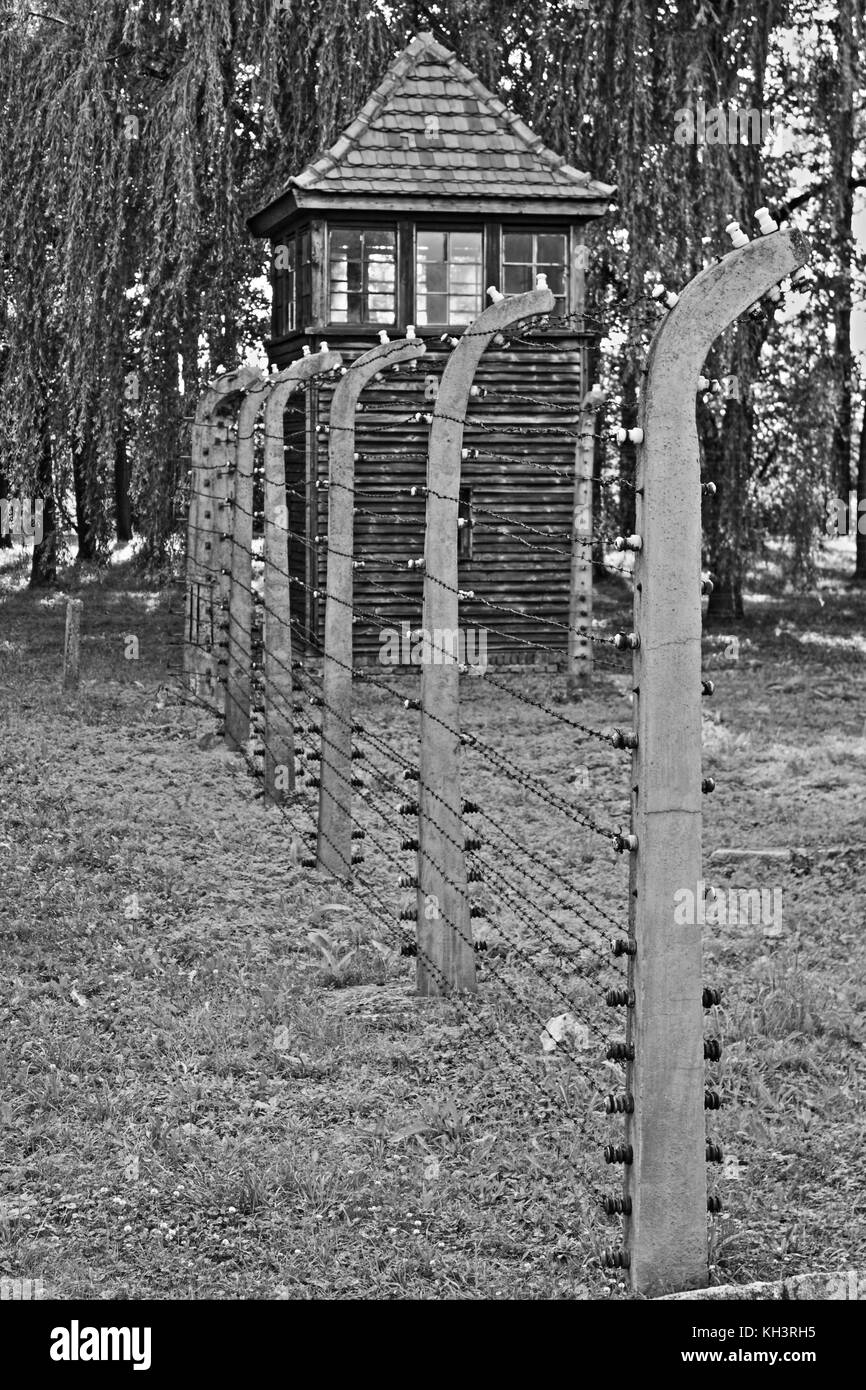 Fil de fer barbelé clôture électrique à Auschwitz-Birkenau camp de concentration, Pologne Banque D'Images