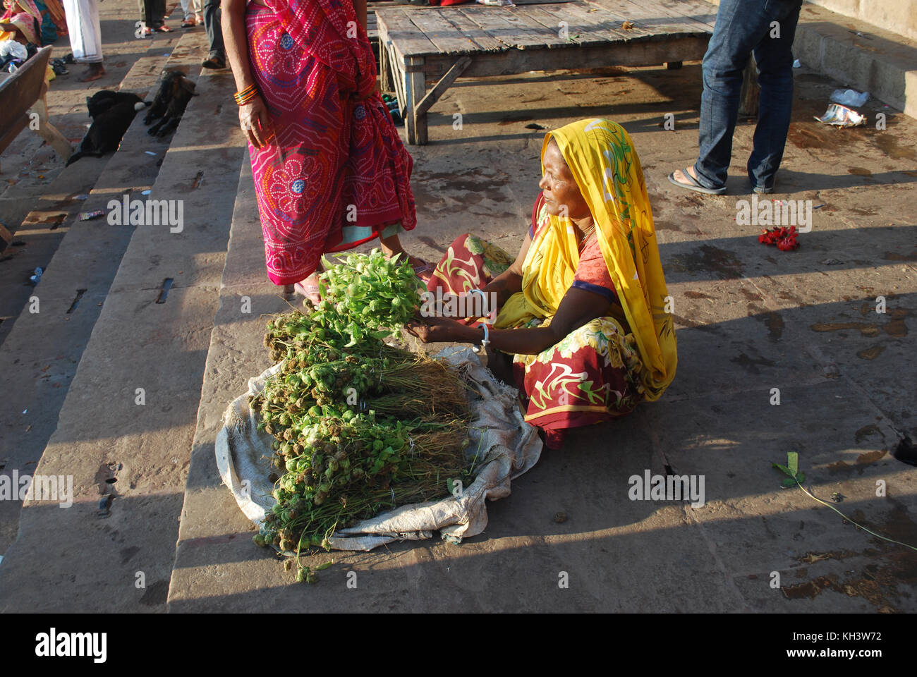 Une femme vêtue d'un sari de la vente sur le front de mer de Varanasi, Uttar Pradesh, Inde Banque D'Images