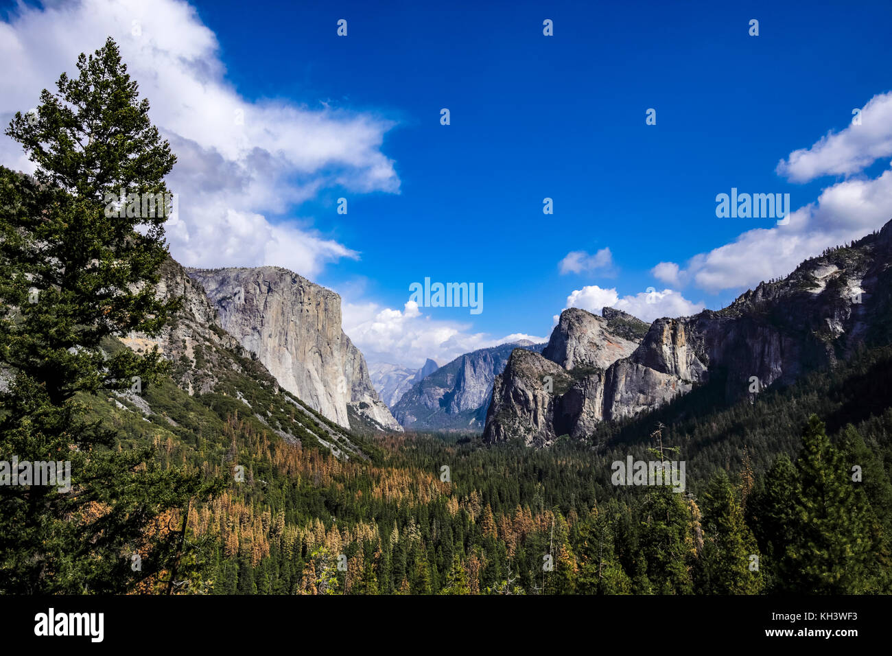 La vallée Yosemite de vue de Tunnel un arrêt touristique facilement accessible en voiture. Banque D'Images