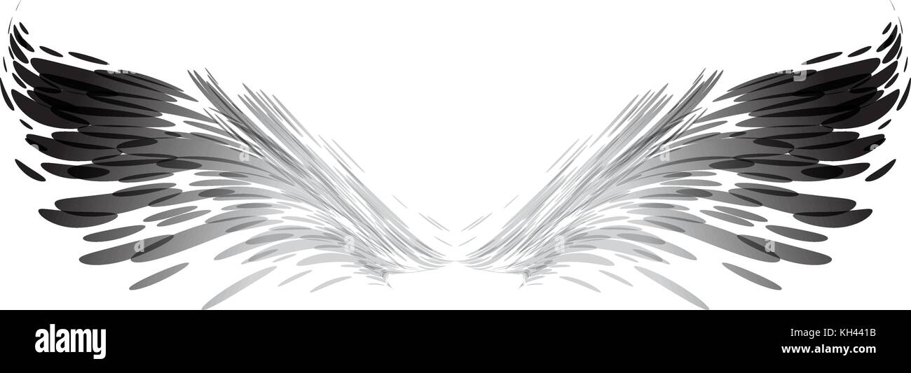 Résumé les ailes, noir et blanc, vector illustration isolé sur fond blanc Illustration de Vecteur