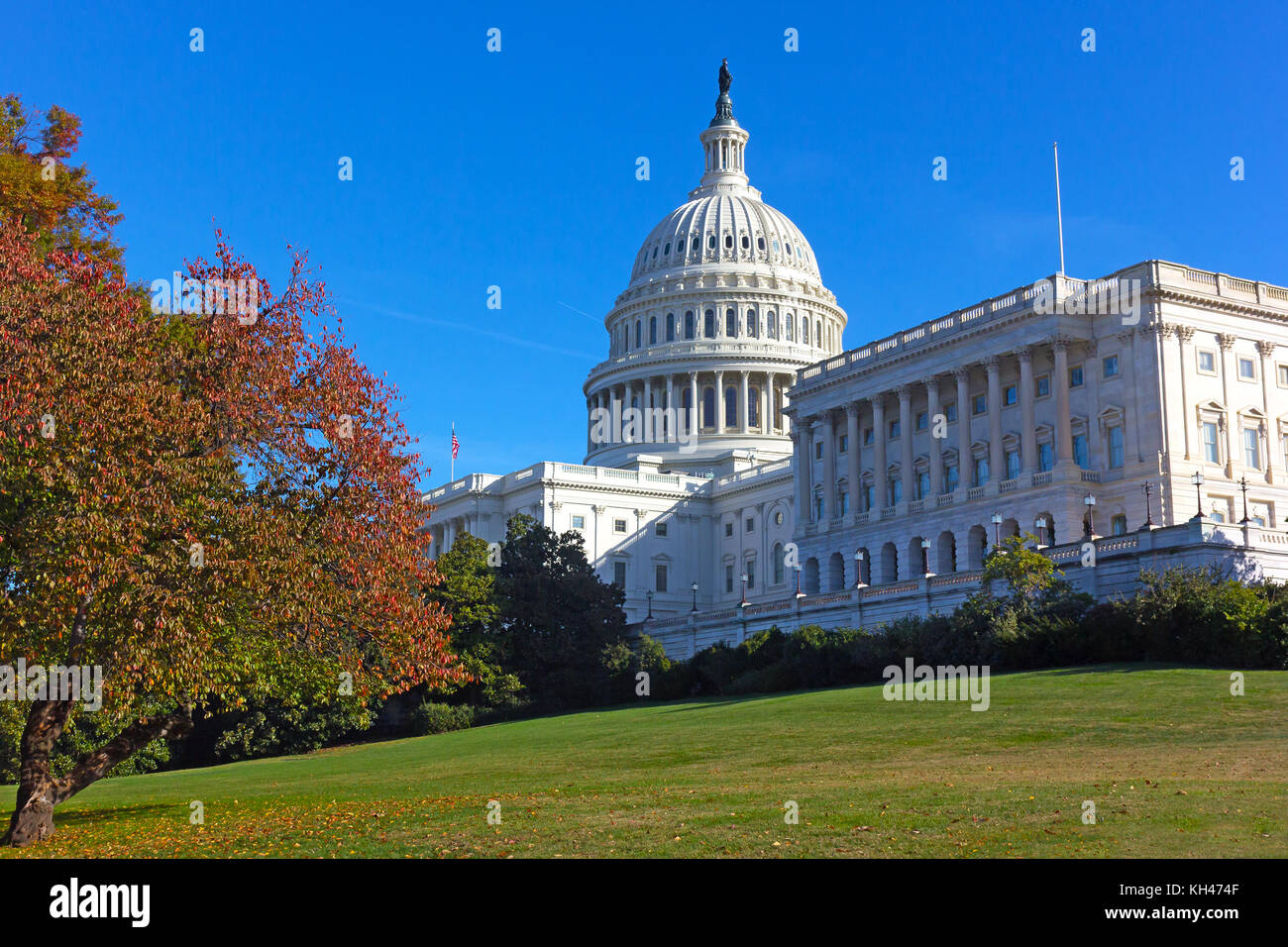 Couleurs d'automne près du bâtiment du Capitole des États-Unis à Washington DC, États-Unis. US Capitol Dome a récemment subi le projet de restauration pluriannuel à Banque D'Images