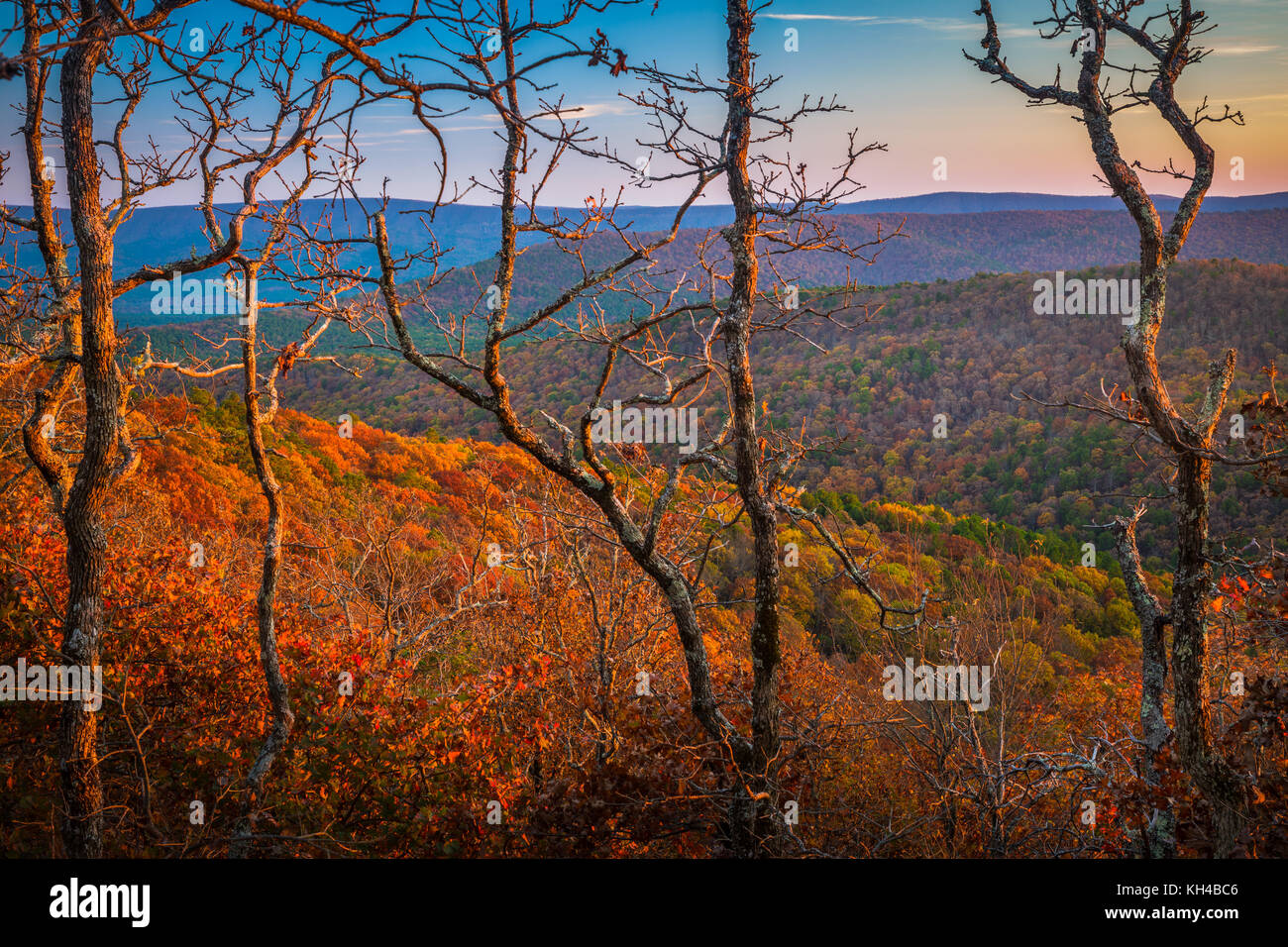 La route panoramique de Talimena est un National Scenic Byway dans le sud-est de l'Oklahoma et l'extrême ouest de l'Arkansas. Banque D'Images