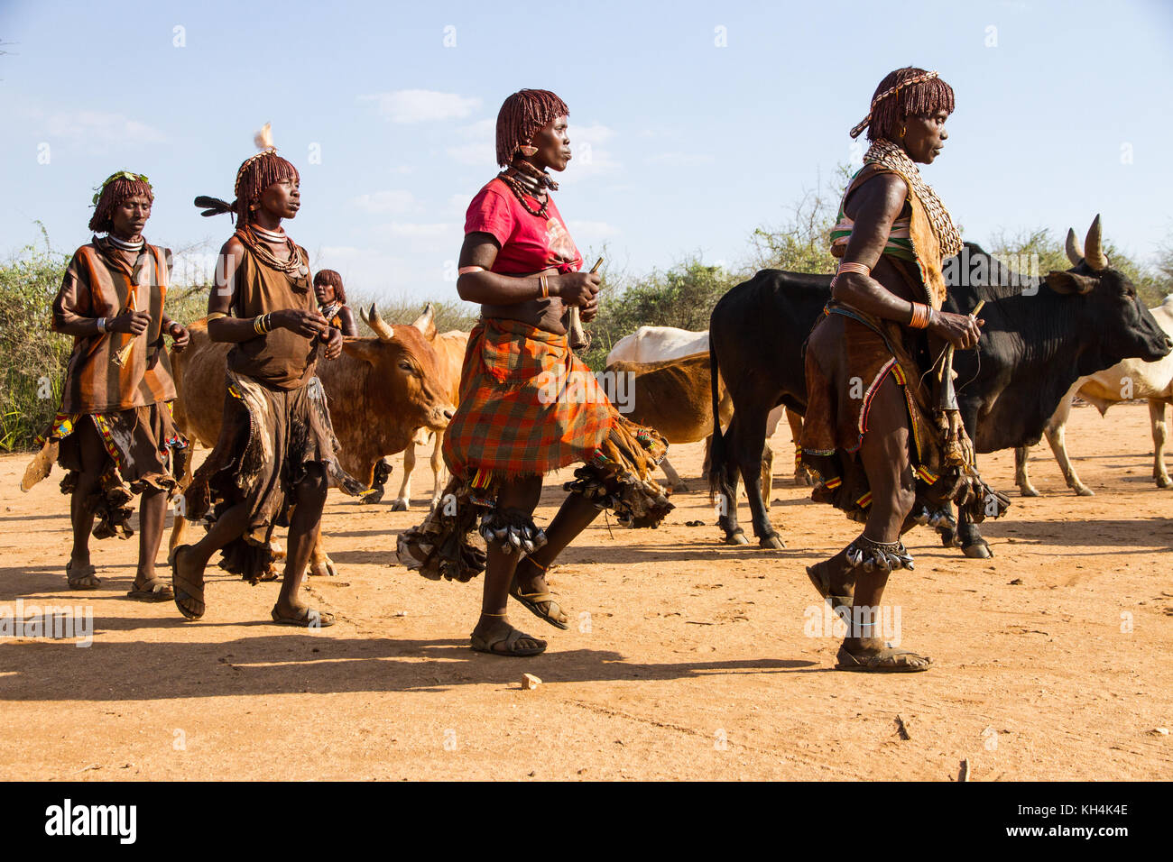Turmi, Ethiopie - 14/11/16 : les femmes de la tribu Hamar, le chant et la danse au début de la cérémonie le saut de bull Banque D'Images