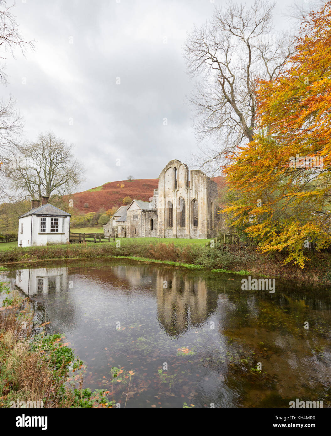 L'automne à l'abbaye Valle Crucis, Denbighshire, Wales, UK Banque D'Images