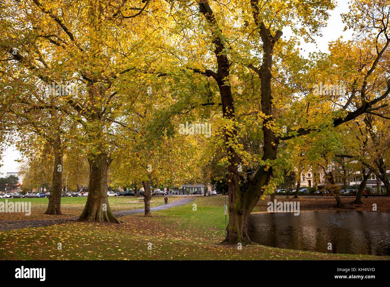 Europa, Allemagne, Cologne, parc au Theodor-Heuss-Ring près de la place Ebertplatz. Europe, Allemagne, Koeln, Parc Am Theodor-Heuss-Ring nahe Eber Banque D'Images Europa, Allemagne, Cologne, parc au Theodor-Heuss-Ring près de la place Ebertplatz. Europe, Allemagne, Koeln, Parc Am Theodor-Heuss-Ring nahe Eber Banque D'Images