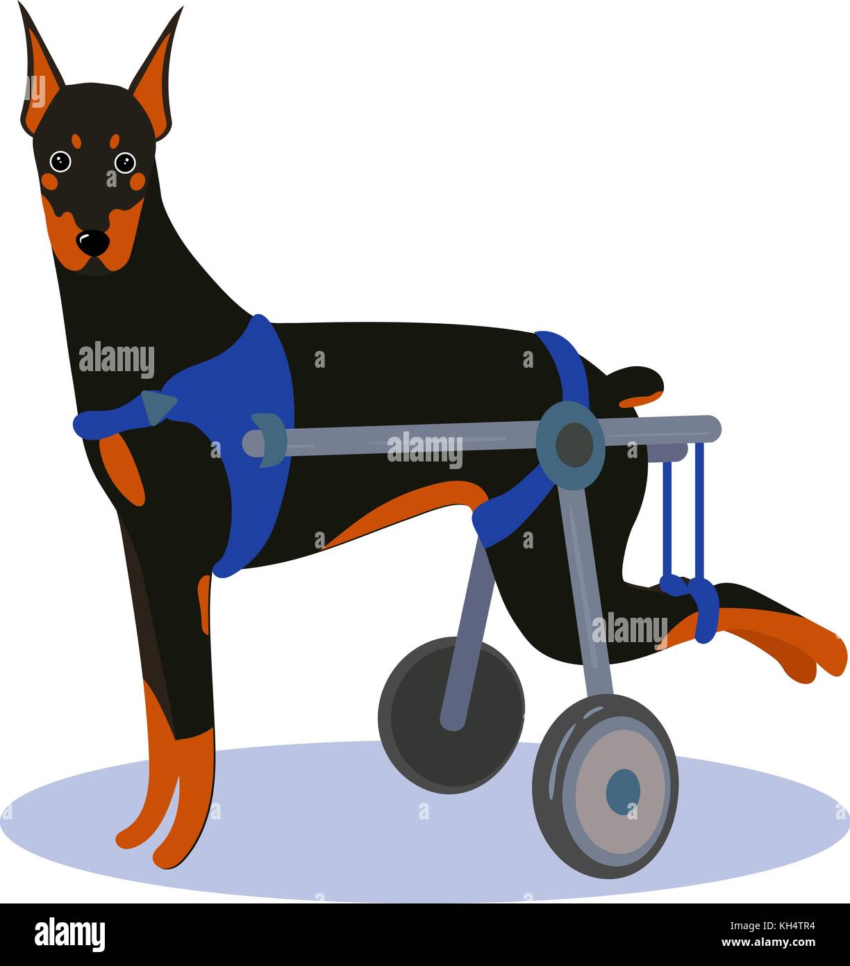 Handicapés handicapés chien doberman. Illustration de Vecteur