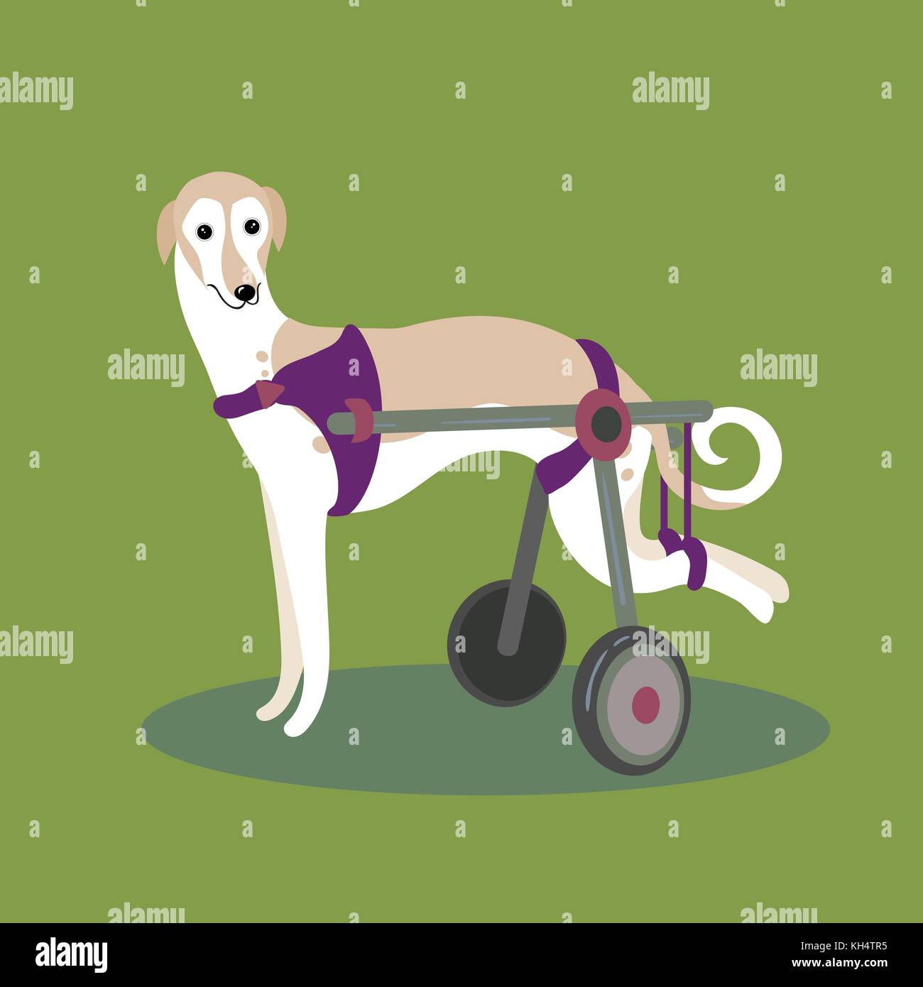 Ensemble de personnes handicapées handicapés chiens Illustration de Vecteur
