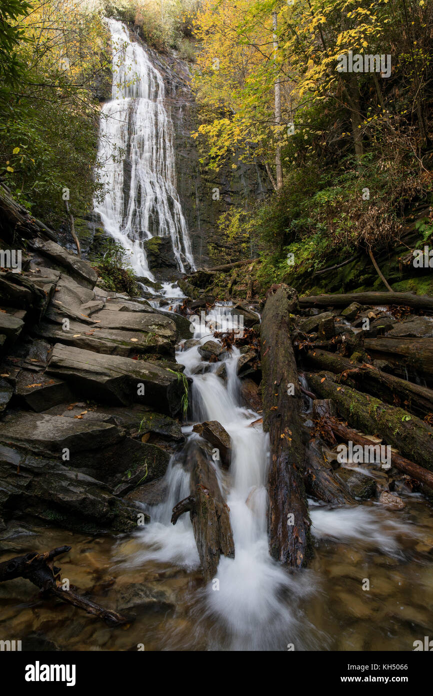 Mingo falls sont environ 120 pieds de haut et l'une des cascades plus élevé dans le sud des Appalaches. Les chutes sont officieusement connu sous le nom de Big Bear falls, qui est la traduction du sens de mingo falls. Les chutes sont facilement accessibles de l'extérieur de Big Cove Road cherokee. La randonnée est seulement 40 miles, mais relativement abruptes le long d'un escalier sur le côté de la montagne. Banque D'Images