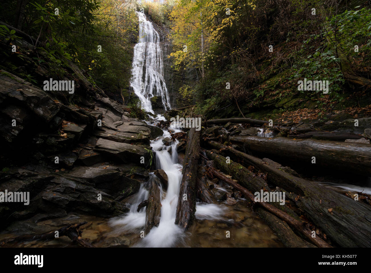 Mingo falls sont environ 120 pieds de haut et l'une des cascades plus élevé dans le sud des Appalaches. Les chutes sont officieusement connu sous le nom de Big Bear falls, qui est la traduction du sens de mingo falls. Les chutes sont facilement accessibles de l'extérieur de Big Cove Road cherokee. La randonnée est seulement 40 miles, mais relativement abruptes le long d'un escalier sur le côté de la montagne. Banque D'Images