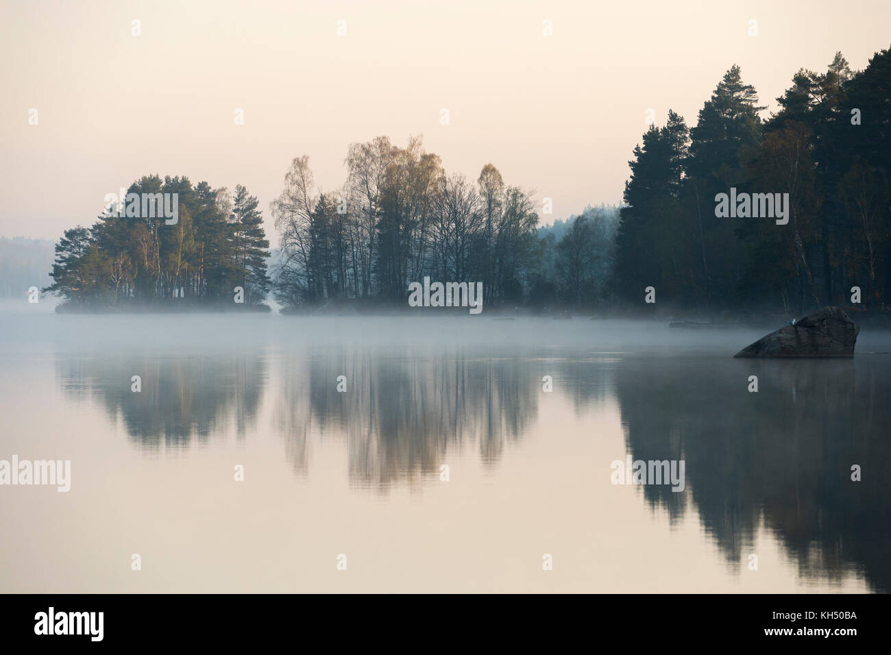 Lac typique en Suède, entouré de bois, d'abord au début de lumière, calme, calme surface de l'eau, peu de brume du matin, l'Europe en Scandinavie. Banque D'Images