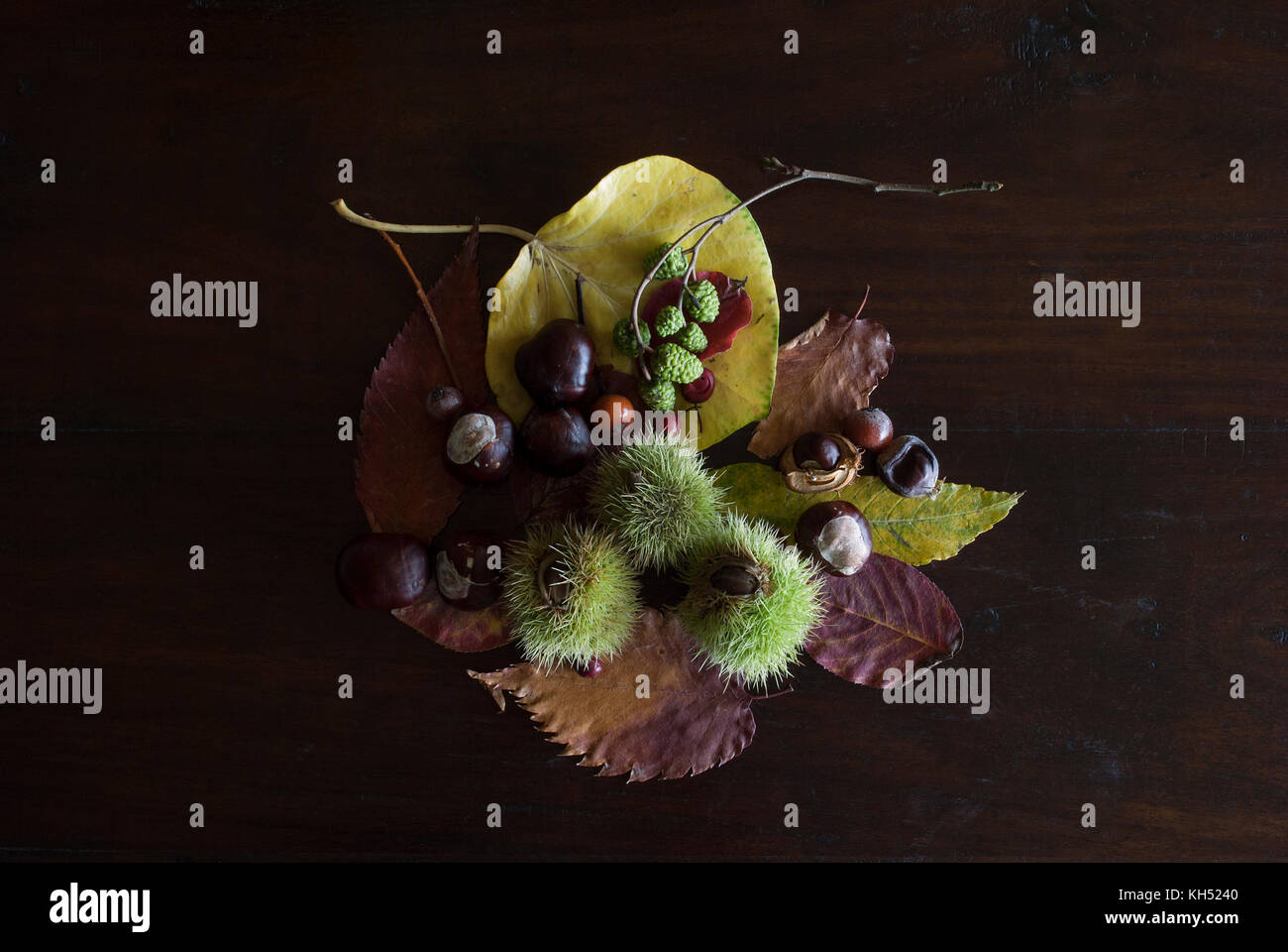 Belle la vie toujours avec des feuilles d'automne, la châtaigne et les petits fruits, sur fond de bois foncé rustique Banque D'Images