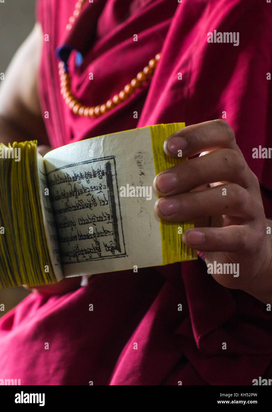 Moine tibétain montrant quelques écritures imprimées à partir de blocs de bois dans le monastère du temple de l'impression traditionnelle, province de Gansu, Chine, Labrang Banque D'Images