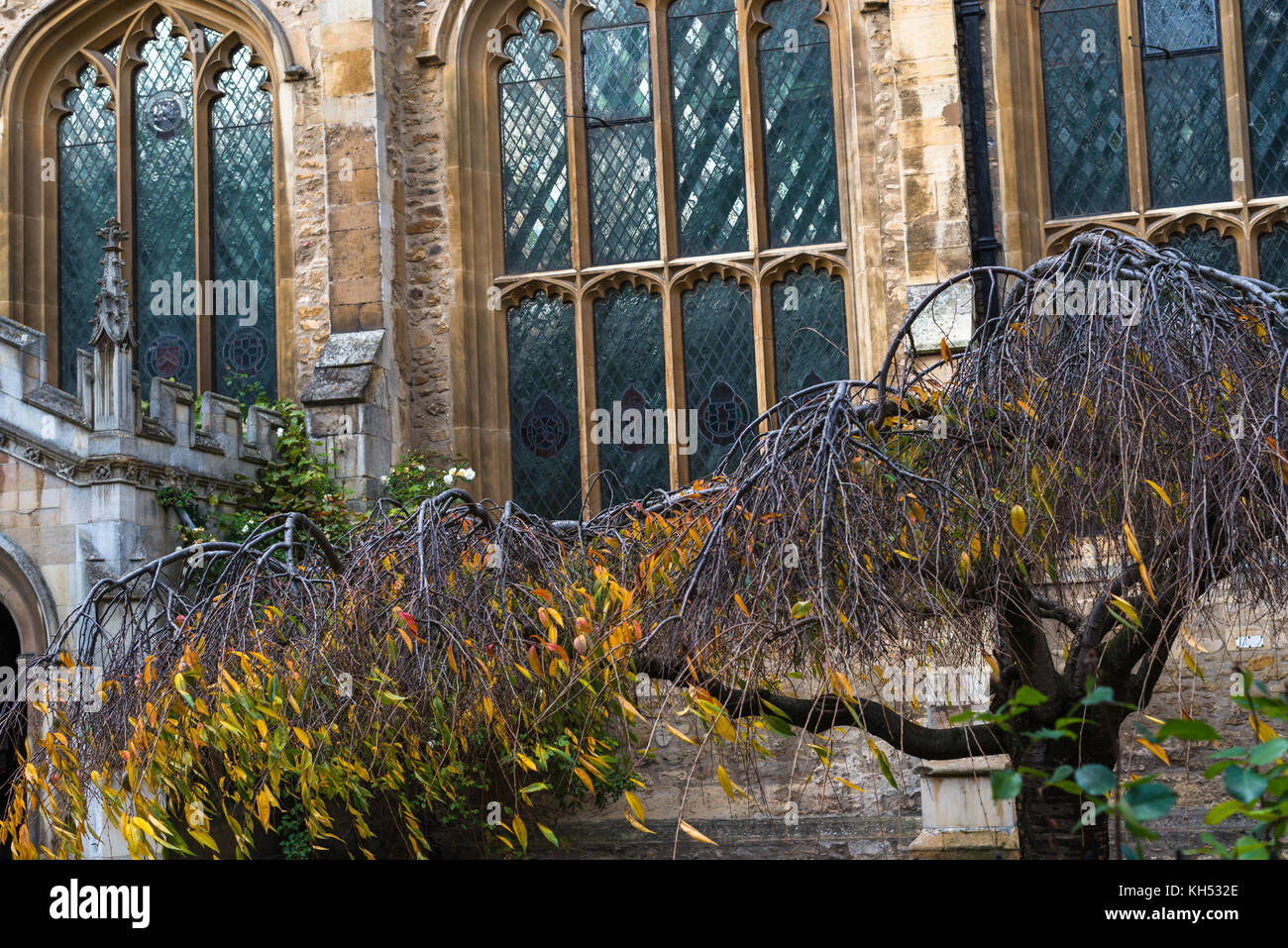 Closeup détail du Grand St Marys Church, l'église de l'université, centre-ville de Cambridge, Cambridge, UK. Banque D'Images