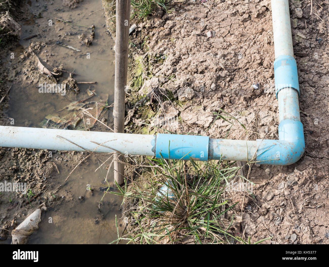 Petit tuyau de PVC avec le coude pour système d'irrigation dans le jardin  fleuri Photo Stock - Alamy