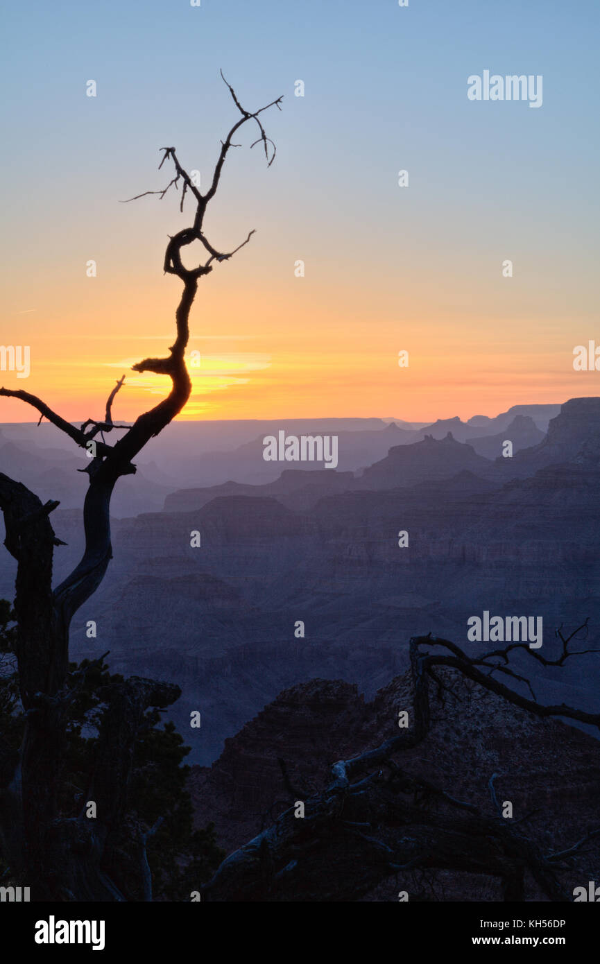 Coucher du soleil au Grand Canyon National Park Banque D'Images