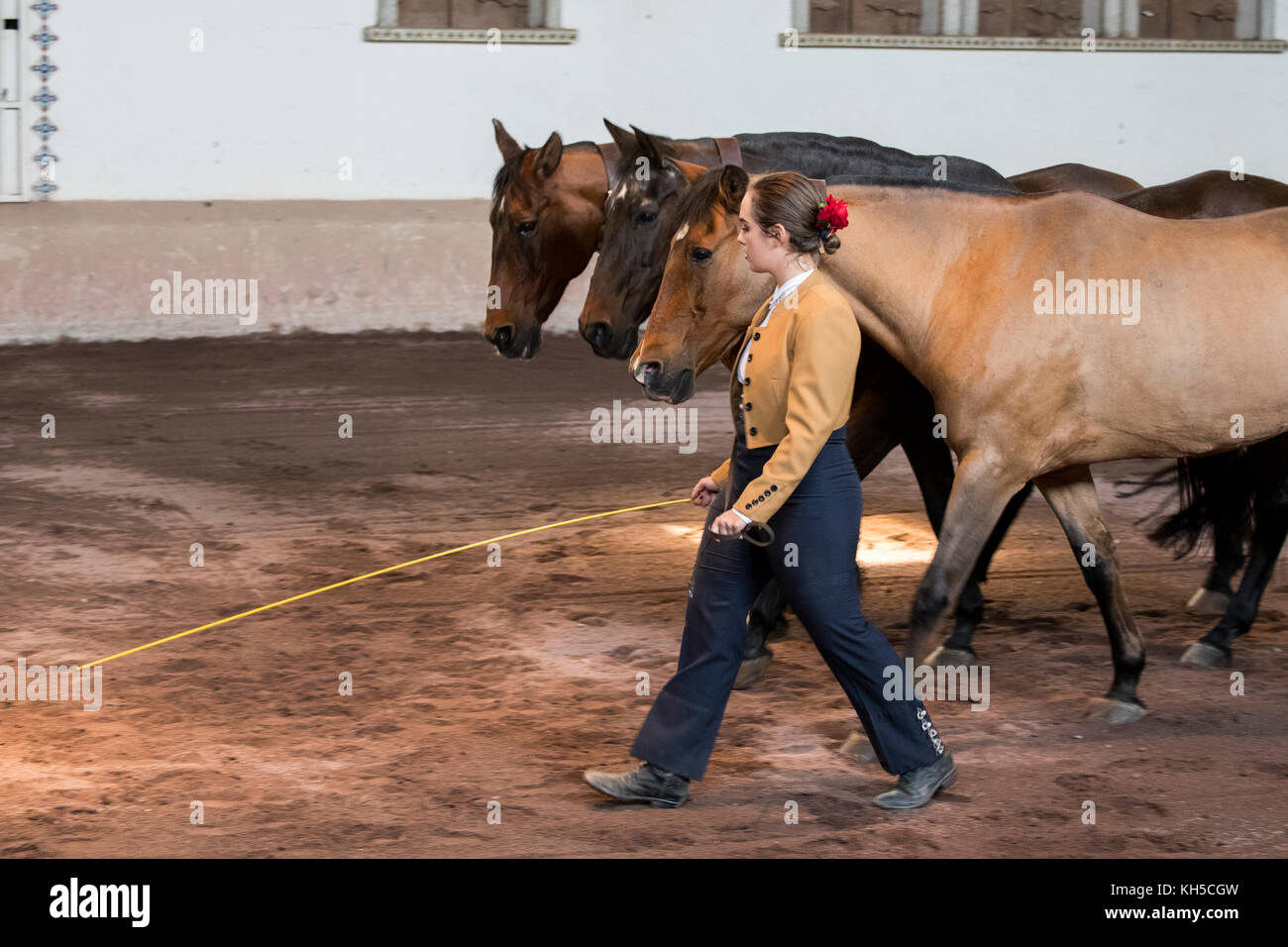 Amérique Centrale, Costa Rica, Province D'Alajuela, Rancho San Miguel. Spectacle traditionnel andalou de cheval, femme dans une tenue typiquement espagnole. Banque D'Images