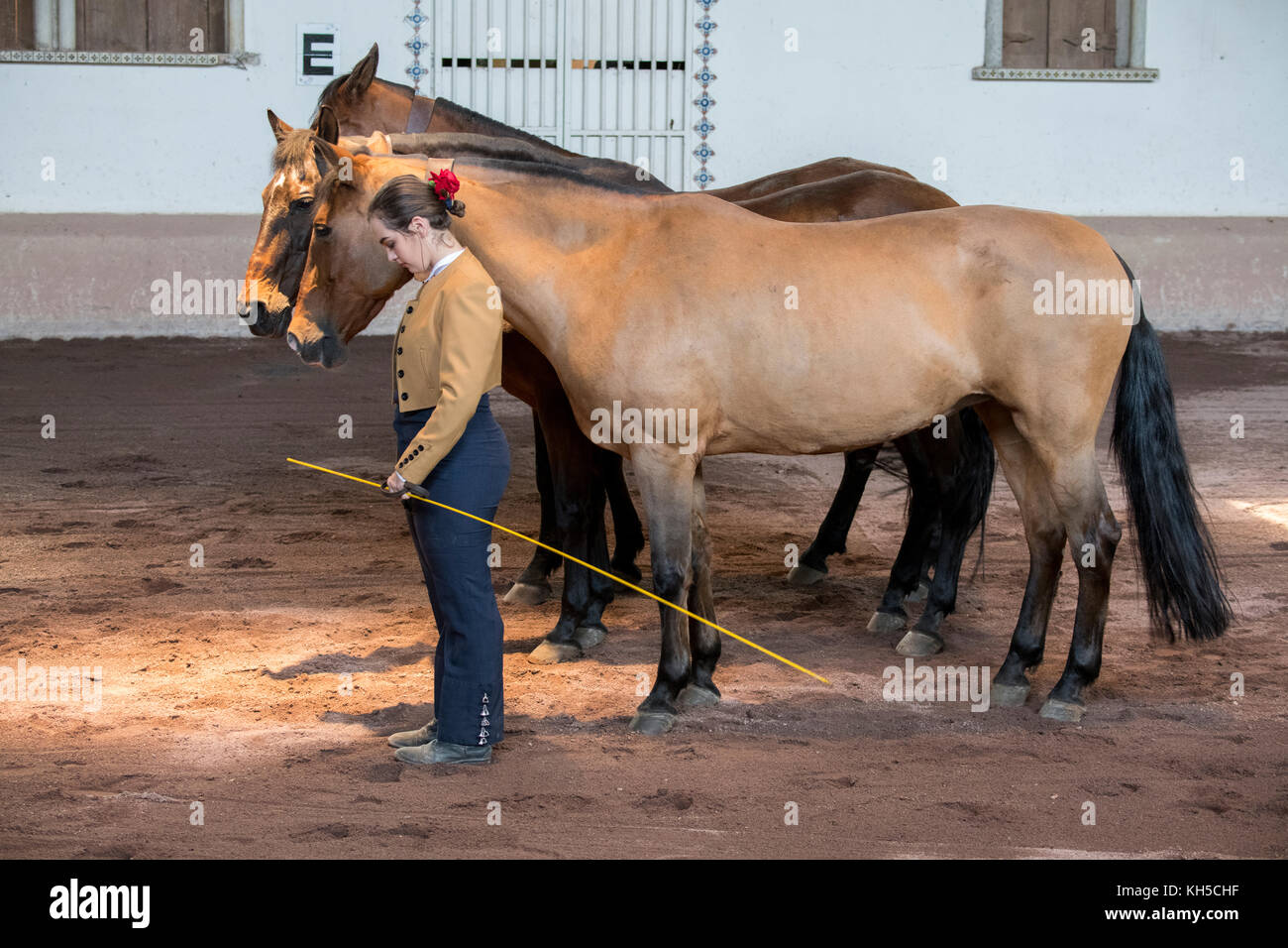 Amérique Centrale, Costa Rica, Province D'Alajuela, Rancho San Miguel. Spectacle traditionnel andalou de cheval, femme dans une tenue typiquement espagnole. Banque D'Images