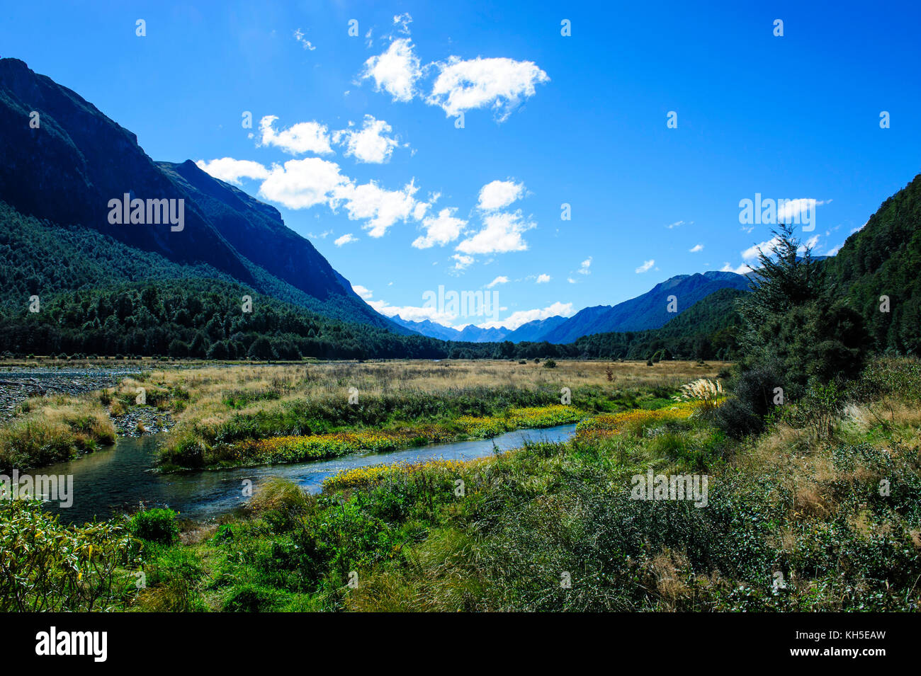 Eglington vallée avant le Milford Sound, île du Sud, Nouvelle-Zélande Banque D'Images