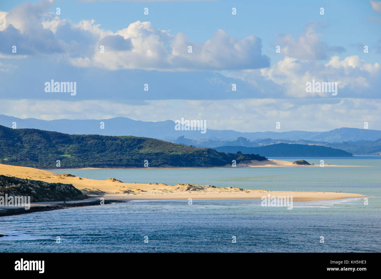Dans le magnifique littoral arai-te-uru recreation reserve, hokianga harbour, Westcoast Northland, North Island, New Zealand Banque D'Images