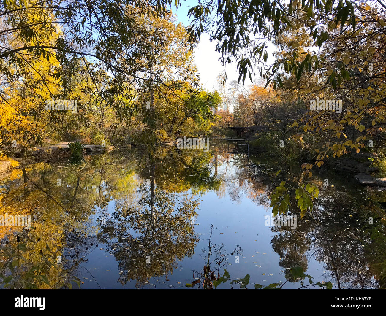 Alfred Caldwell Lily Pool en automne, zoo de Lincoln Park, Lincoln Park, Chicago Banque D'Images