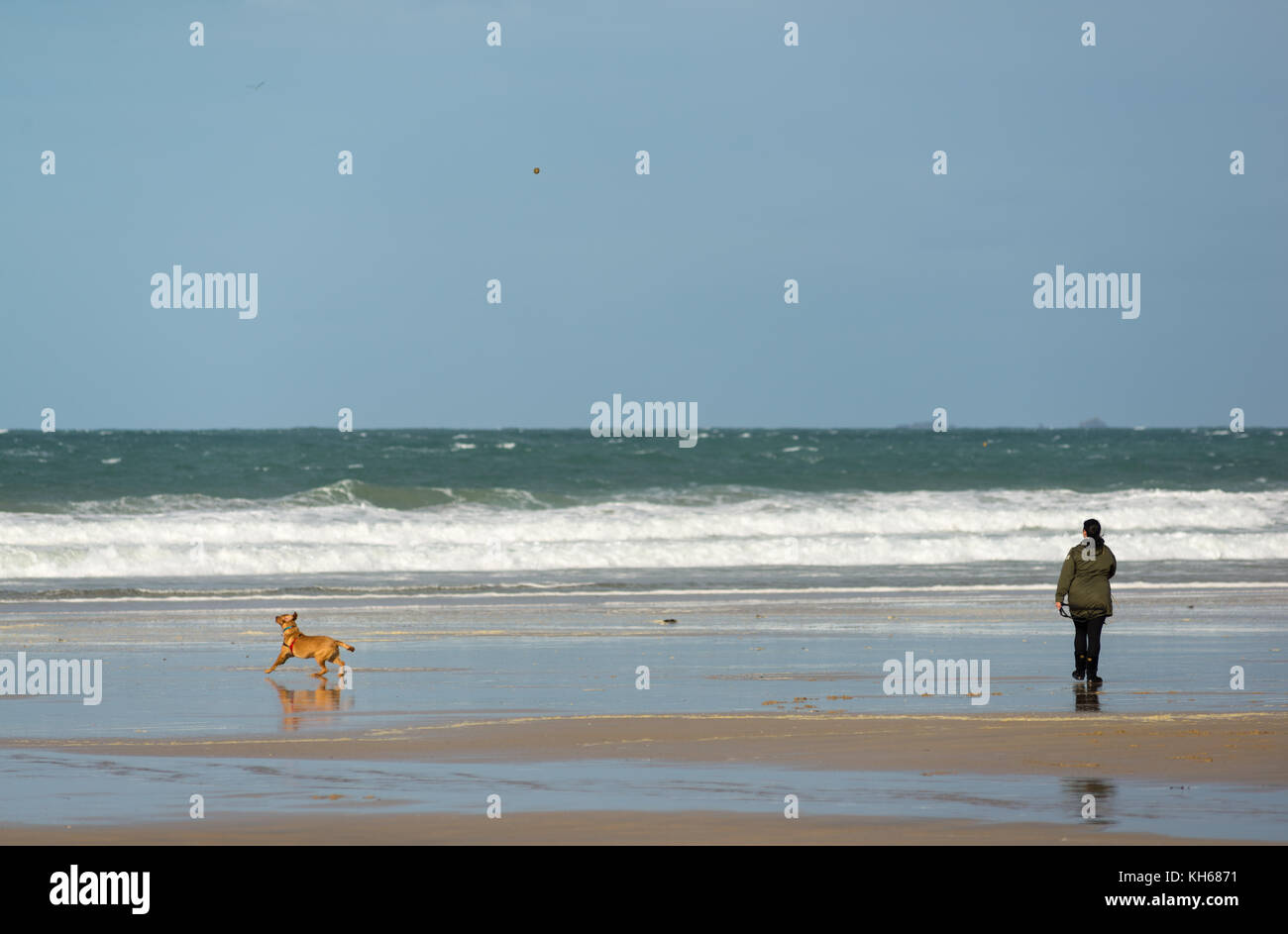 Femme lançant une boule pour son chien sur la plage sur un jour d'automne ensoleillé mais à Newquay, Cornwall, UK Banque D'Images