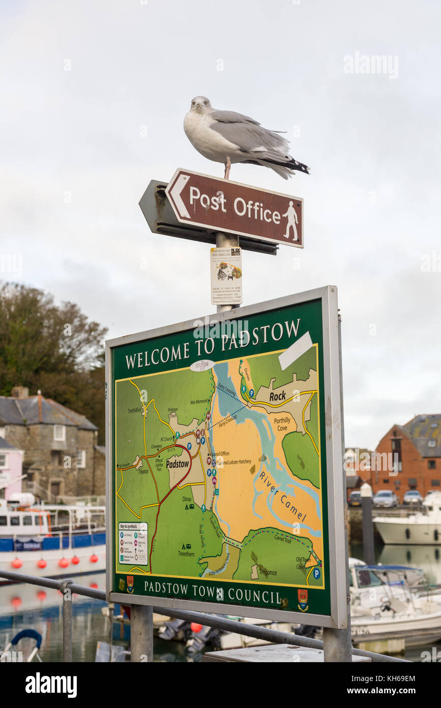 Mouette debout sur un bureau de poste signe au-dessus d'un plan de la ville de Padstow, North Cornwall, UK Banque D'Images