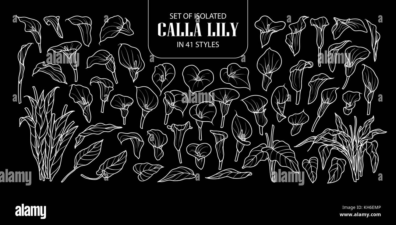 Ensemble de zantedeschia isolés dans 41 styles. cute hand drawn vector illustration fleur contour blanc sur fond noir. Illustration de Vecteur