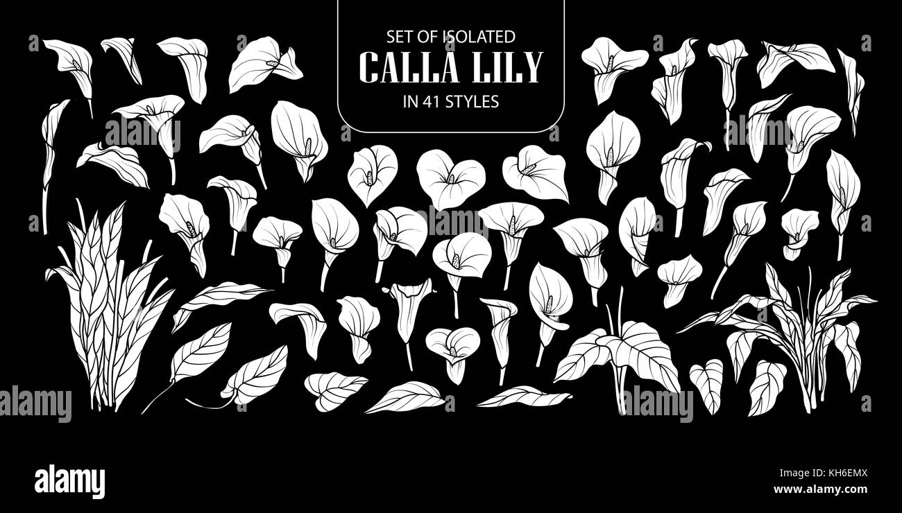 Ensemble de silhouette blanche isolée calla lily dans 41 styles. cute hand drawn vector illustration fleurs en avion blanc et sans contour sur fond noir Illustration de Vecteur