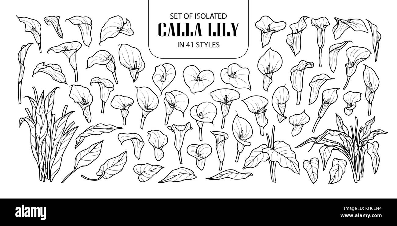 Ensemble de zantedeschia isolés dans 41 styles. cute hand drawn vector illustration fleurs en contour noir et blanc avion sur fond blanc. Illustration de Vecteur