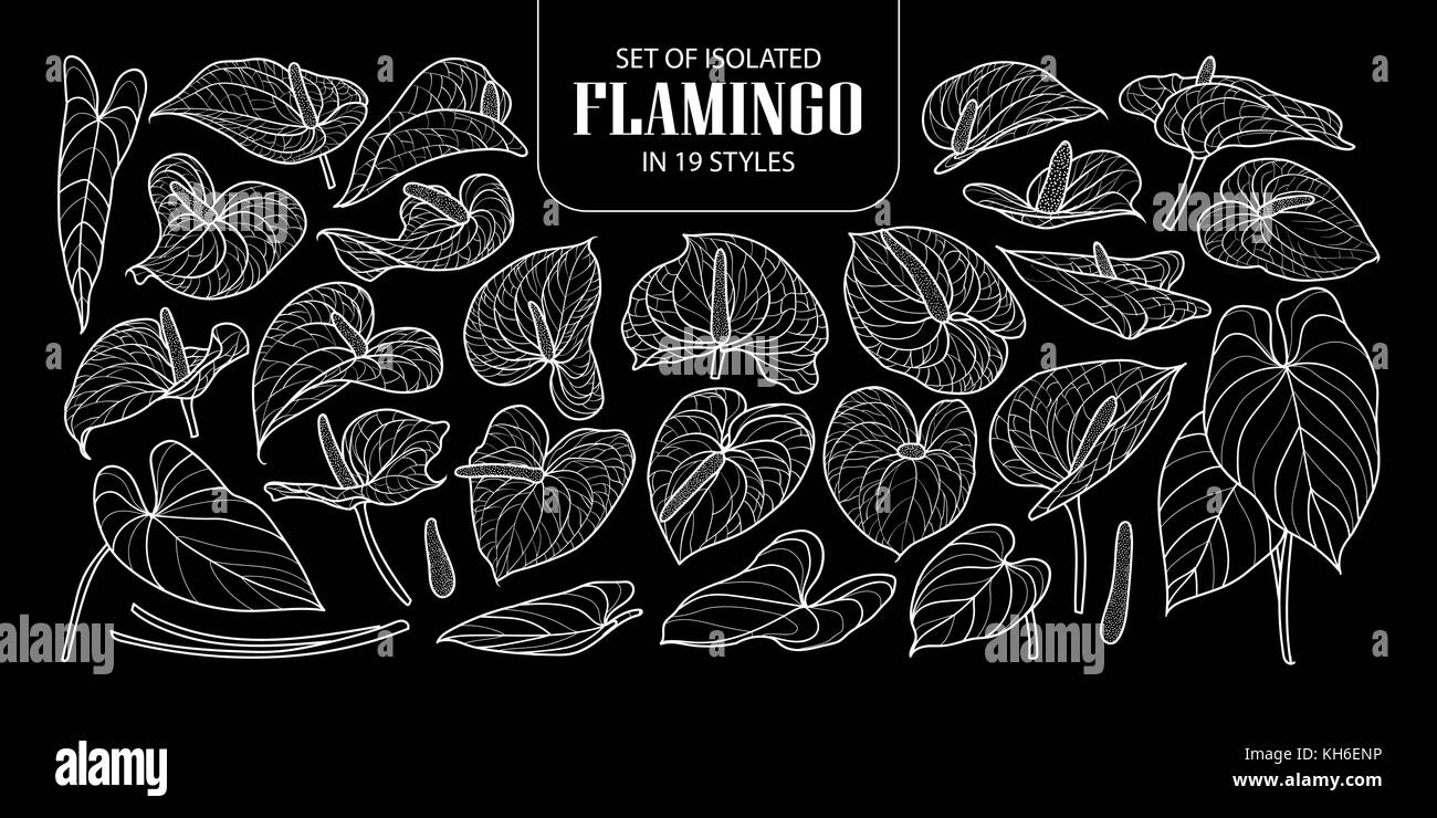 Ensemble de flamingo isolés dans 19 styles. cute hand drawn vector illustration fleur contour blanc sur fond noir. Illustration de Vecteur