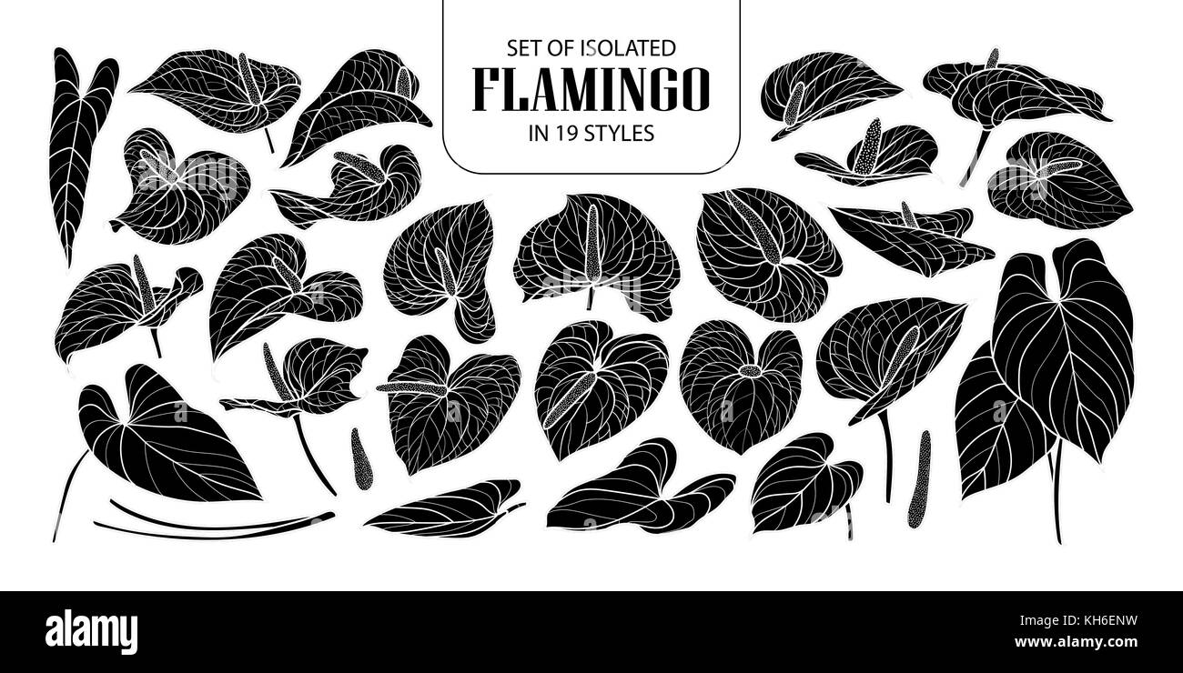 Ensemble de flamingo silhouette isolée dans 19 styles. mignon vecteur illustration de fleurs à la main en noir et blanc indiquant plan sur fond blanc. Illustration de Vecteur