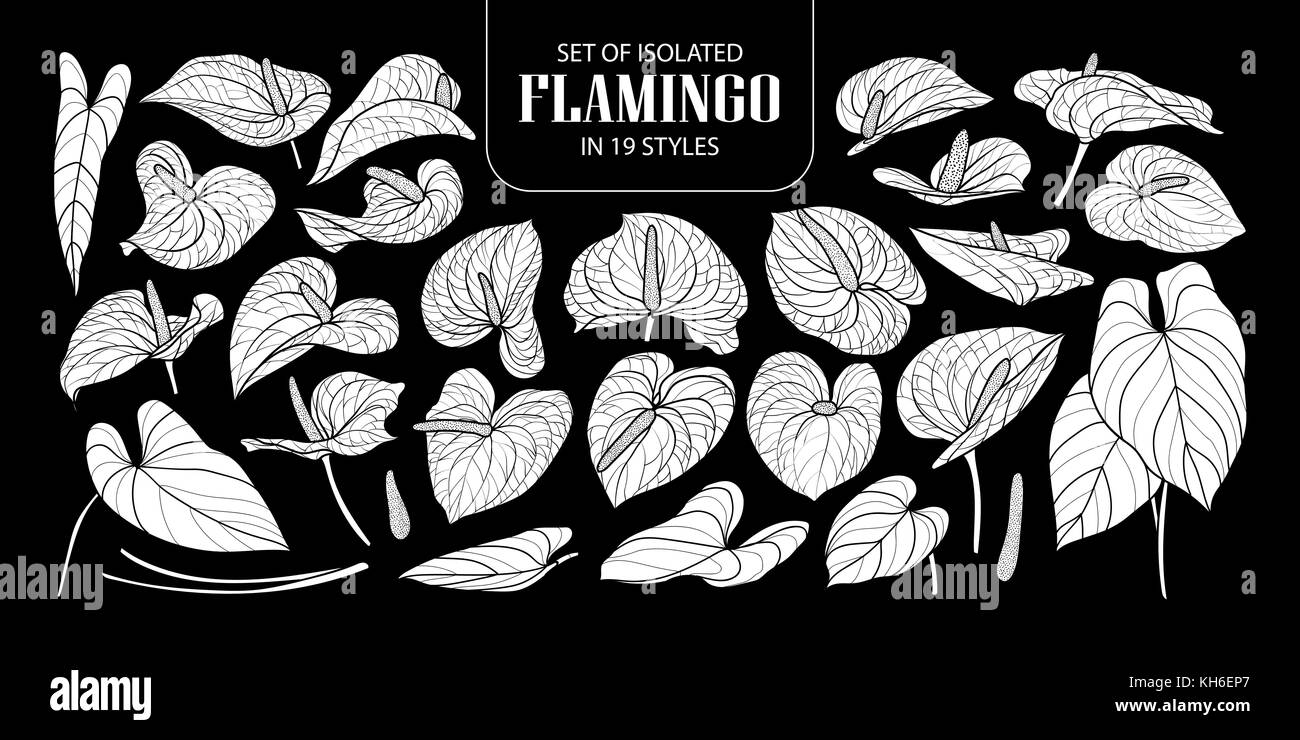 Ensemble de silhouette blanche isolée dans flamingo 19 styles. cute hand drawn vector illustration fleurs en avion blanc (sans contour) sur fond noir. Illustration de Vecteur