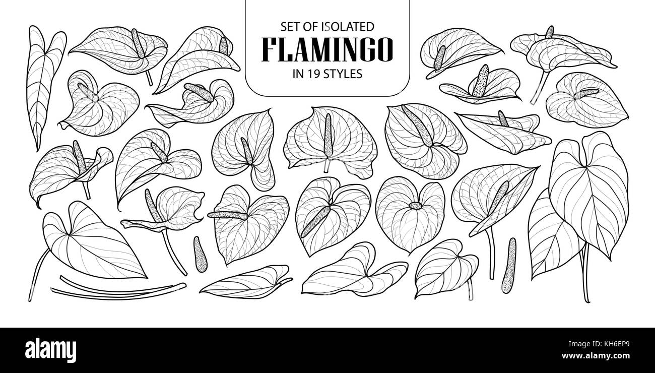 Ensemble de flamingo isolés dans 19 styles. cute hand drawn vector illustration fleurs en contour noir et blanc avion sur fond blanc. Illustration de Vecteur