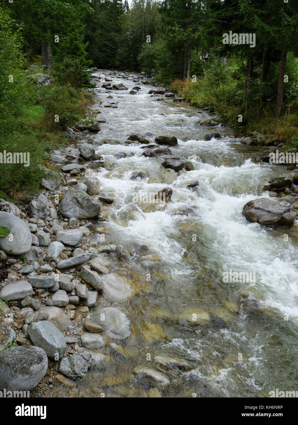ruisseau en plein air musée Skansen Orava près de Zuberek, Western Tatra, Zilinsky kraj, Slovaquie, Europe Banque D'Images