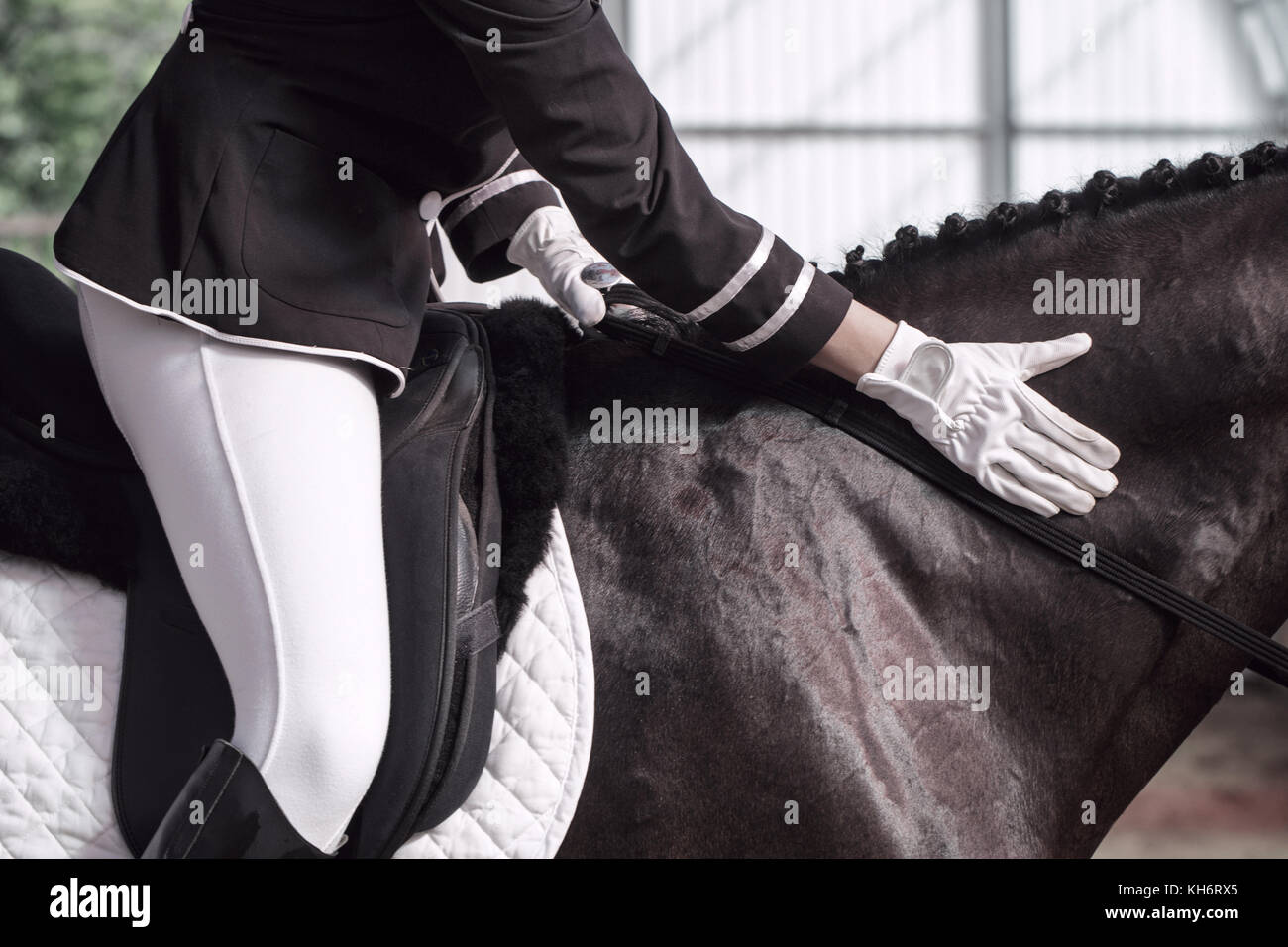 Belle fille jockey assis en selle sur un cheval le tournage de près. Elle claque le cheval autour de son cou. un pedigree cheval pour le sport équestre. Banque D'Images