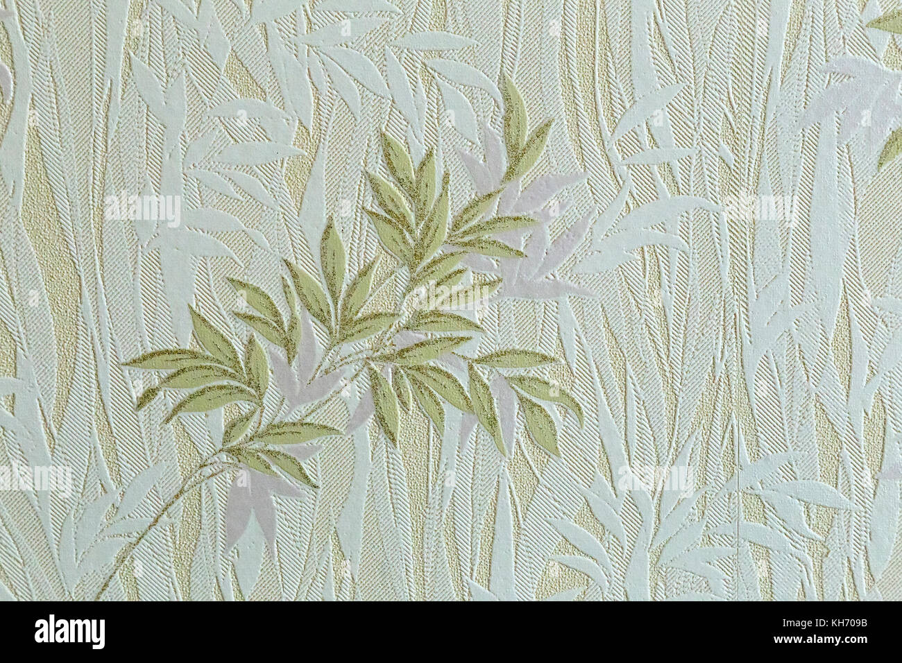 Image de fond dans des tons pastel avec des images de plantes. Banque D'Images